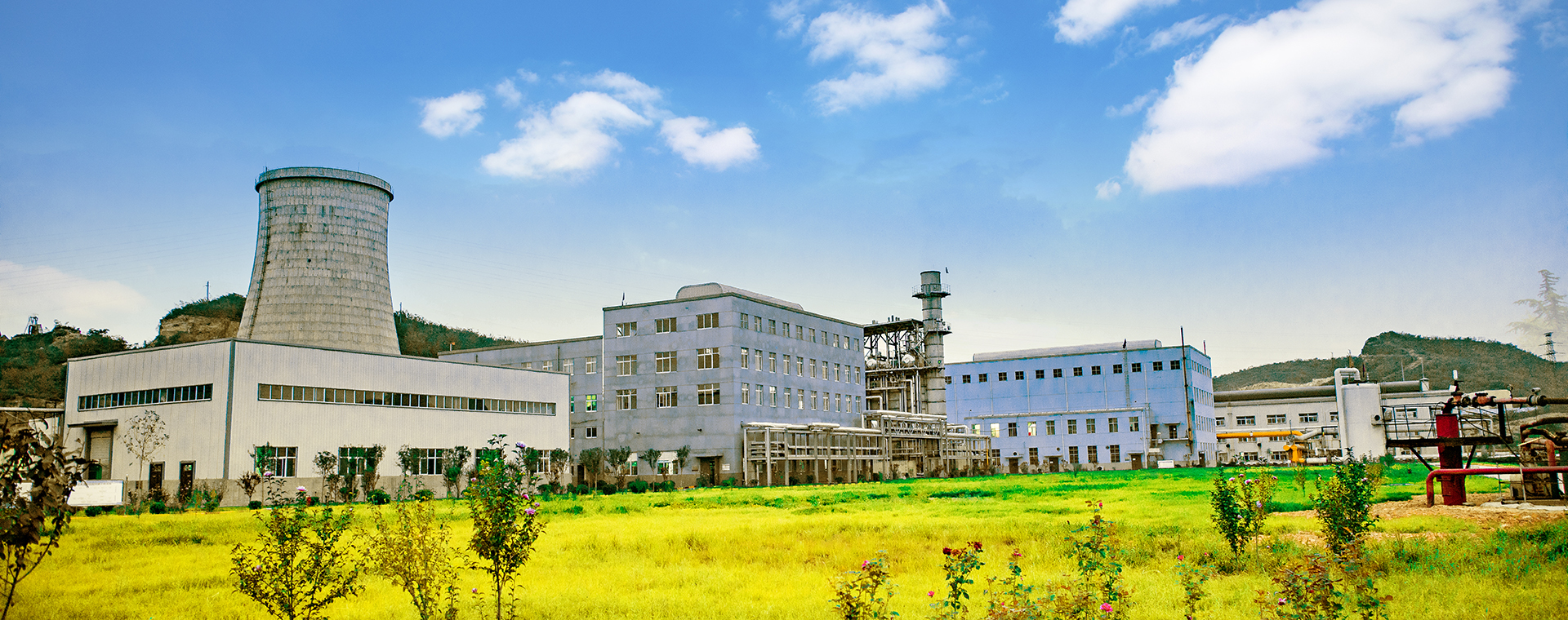 俏丽Z6人生就是博